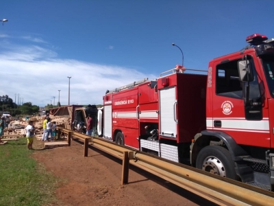 Caminhão carregado com paletes tomba em rodovia na região