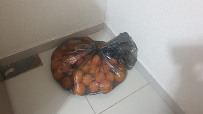 Dupla é presa com grande quantidade de laranjas furtadas de pomar de empresa em São Pedro do Turvo 