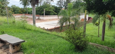 Abandonado, CSU é tomado pelo mato, enquanto aguarda “municipalização”