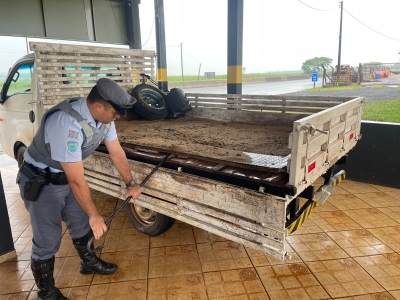 Caminhão cheio de maconha e cocaína é apreendido em Santa Cruz do Rio Pardo 