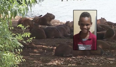 Justiça condena Prefeitura de Ipaussu a pagar pensão vitalícia à família de menino que morreu por febre maculosa
